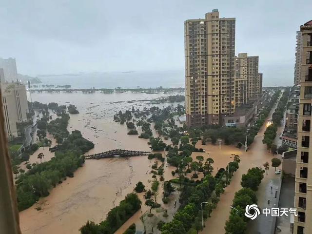 Mưa bão lớn, khu du lịch thắng cảnh bị nước lũ tràn đáng sợ, chú khỉ phải bám thành cầu - Ảnh 6.