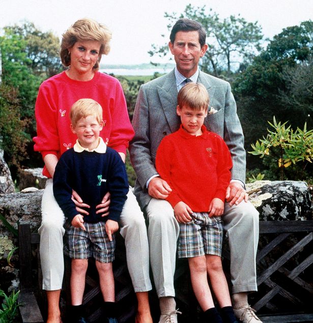 Cùng tưởng nhớ đến Công nương Diana, vợ chồng Hoàng tử William được khen ngợi là tinh tế trong khi nhà Meghan xấu hổ ê chề - Ảnh 3.