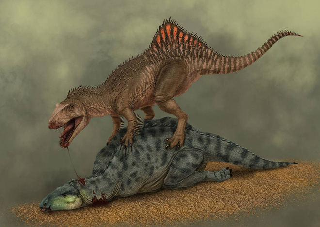 Loài khủng long ăn thịt có bướu kỳ lạ được tìm thấy ở Tây Ban Nha - Ảnh 1.
