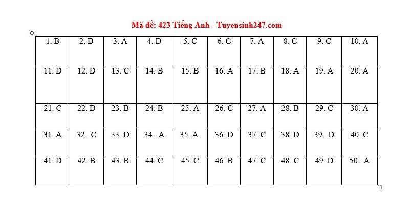 [CẬP NHẬT] Đ&aacute;p &aacute;n tất cả c&aacute;c m&atilde; đề m&ocirc;n Anh kỳ thi tốt nghiệp THPT Quốc gia năm 2020 - Ảnh 8.
