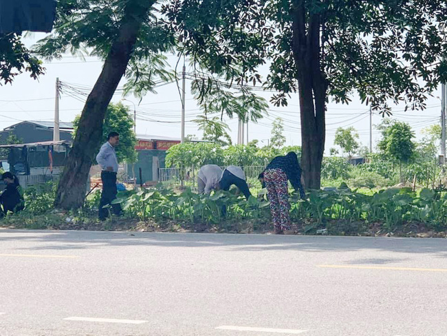 Hội phụ huynh chờ con thi có hành động gây tò mò: Lom khom bên bụi cỏ tưởng tìm đồ thất lạc, sự thật phía sau mới khiến ai nấy ngã ngửa - Ảnh 1.