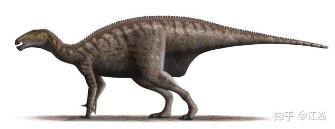 Loài khủng long ăn thịt có bướu kỳ lạ được tìm thấy ở Tây Ban Nha - Ảnh 13.