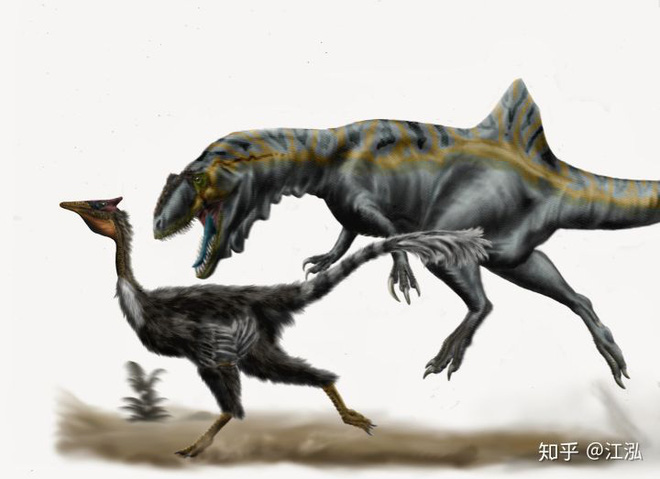 Loài khủng long ăn thịt có bướu kỳ lạ được tìm thấy ở Tây Ban Nha - Ảnh 14.
