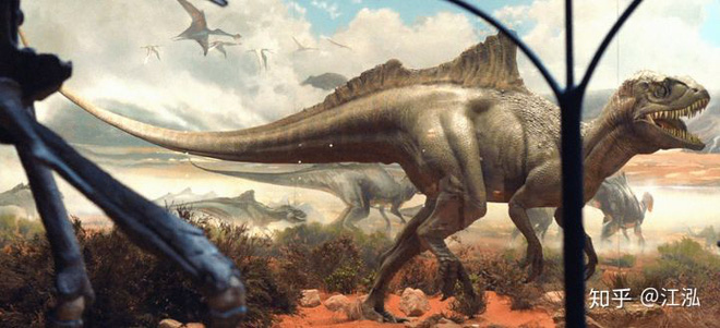 Loài khủng long ăn thịt có bướu kỳ lạ được tìm thấy ở Tây Ban Nha - Ảnh 15.