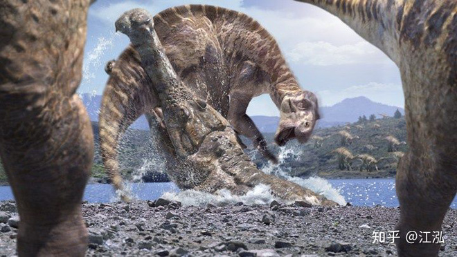 Cá sấu khổng lồ thời tiền sử sống ở châu Phi có thể nuốt chửng khủng long - Ảnh 17.