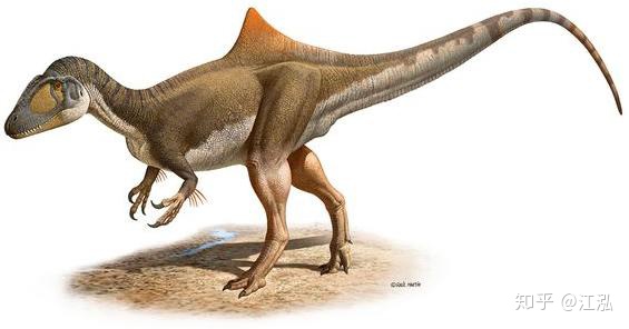 Loài khủng long ăn thịt có bướu kỳ lạ được tìm thấy ở Tây Ban Nha - Ảnh 9.