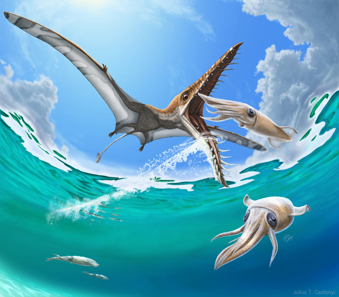 Rhamphorhynchus: Loài thằn lằn bay tí hon sở hữu hàm răng của tử thần - Ảnh 1.