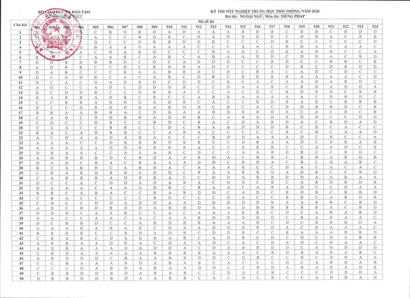 Đáp án chính thức của Bộ GD-ĐT tất cả các môn thi THPT Quốc gia 2020 - Ảnh 11.