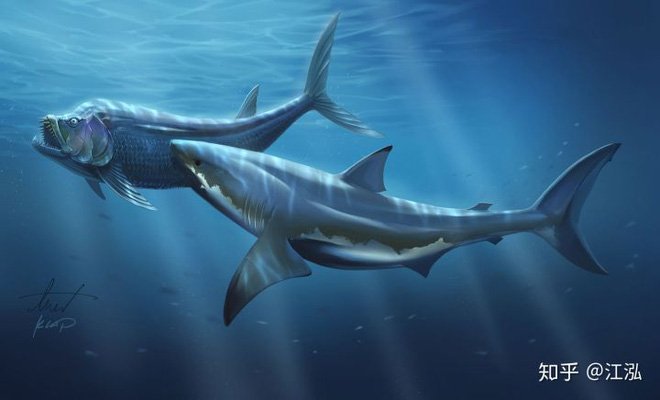 Cretoxyrhina: Loài cá mập thời tiền sử còn đáng sợ hơn cả Megalodon - Ảnh 14.