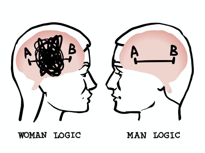 Rốt cuộc não bộ nam giới và phụ nữ có gì khác nhau, và tại sao lại có sự khác biệt đó? - Ảnh 1.