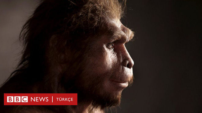 Các nhà khoa học phát hiện ra một tổ tiên bí ẩn của loài người, mang những gen chưa từng được xác định - Ảnh 1.