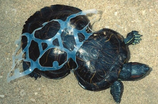 C&oacute; bao nhi&ecirc;u người đ&atilde; từng sống tr&ecirc;n Tr&aacute;i Đất, v&agrave; bao nhi&ecirc;u người nữa sẽ được sinh ra trong tương lai? - Ảnh 6.