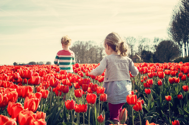 Hà Lan không như tưởng tượng: Những điều không thể giải thích tại Xứ sở hoa Tulip, theo tâm sự của người nước ngoài đến sinh sống lâu năm - Ảnh 2.