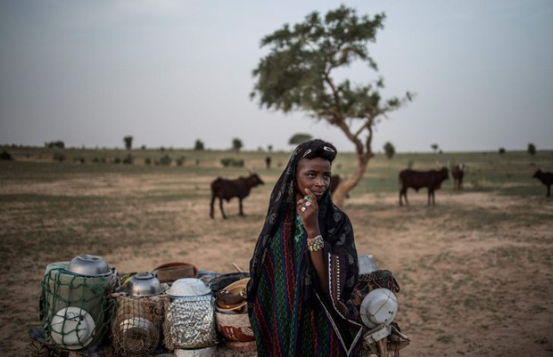 Fulani - bộ lạc Châu Phi tôn thờ cái đẹp và tự coi mình là những người đẹp nhất quả đất - Ảnh 6.