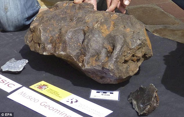 Nhặt được hòn đá xấu xí, cậu bé đem về nhà vứt xó góc vườn, 30 năm sau choáng váng khi phát hiện đó là báu vật trị giá 115 tỷ đồng - Ảnh 1.