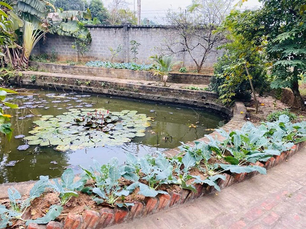 Dân tình “á ố” vì nhà vườn rộng 1.300 m2 của diễn viên Hồng Đăng, cơ ngơi bạc tỷ phục vụ mục đích giản dị bất ngờ - Ảnh 2.