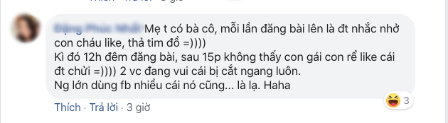 Nỗi ám ảnh khi người thân chơi Facebook: Bị bố mẹ bắt tương tác vì sợ...  các bác buồn - Ảnh 4.