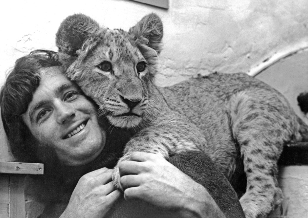 Những bức ảnh khó tin và câu chuyện về chú sư tử được nuôi như thú cưng trước khi trả về tự nhiên - Ảnh 2.
