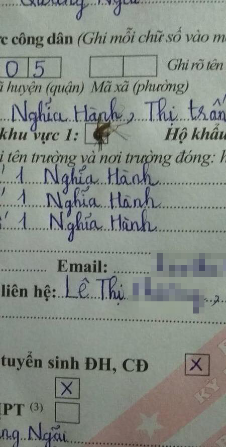 Lại thêm 1 màn viết hồ sơ đi vào thùng rác khiến ai thấy cũng tội nhưng thôi cũng kệ: Thí sinh không sai, con muỗi sai! - Ảnh 1.