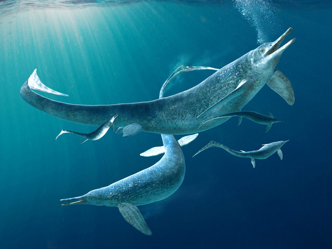 Hóa thạch tiết lộ loài bò sát săn mồi tối thượng trong thời đại khủng long - Ảnh 5.