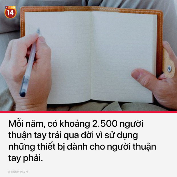 14 sự thật thú vị và hết hồn về thế giới sẽ khiến bạn chẳng thể yên giấc khi đọc xong - Ảnh 5.