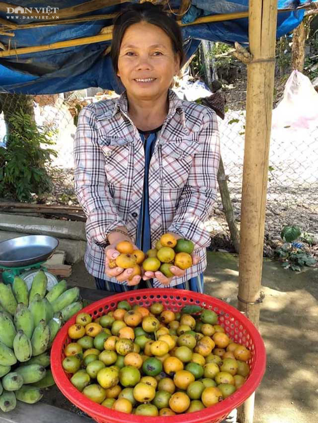 Quảng Ngãi: Trái dại vị chua ngọt - anh em của măng cụt ăn chơi nay thành đặc sản hút khách - Ảnh 6.