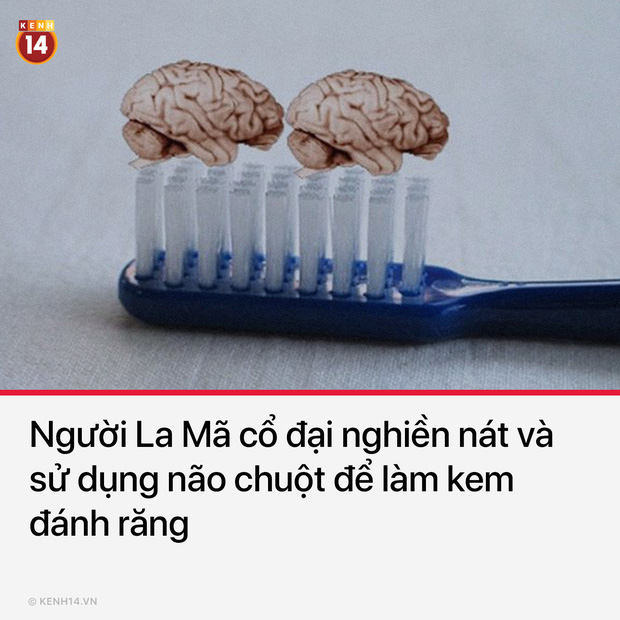 14 sự thật thú vị và hết hồn về thế giới sẽ khiến bạn chẳng thể yên giấc khi đọc xong - Ảnh 7.