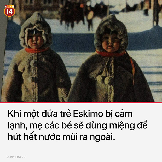 14 sự thật thú vị và hết hồn về thế giới sẽ khiến bạn chẳng thể yên giấc khi đọc xong - Ảnh 8.