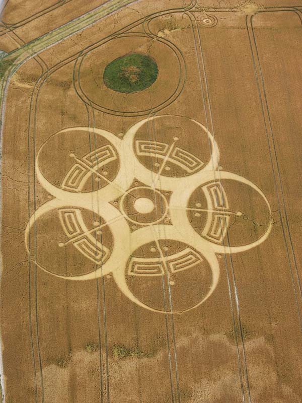 Khám phá bí ẩn Crop Circle - những vòng tròn tuyệt tác được cho là của người ngoài hành tinh - Ảnh 14.