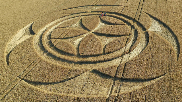 Khám phá bí ẩn Crop Circle - những vòng tròn tuyệt tác được cho là của người ngoài hành tinh - Ảnh 7.