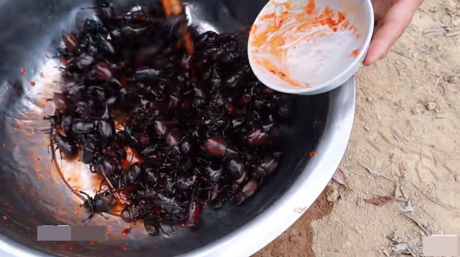 Những màn câu like kinh hãi của Youtuber Việt khi ăn tất tật từ cá sống đến gỏi côn trùng rồi cả mỡ lợn nguyên tảng - Ảnh 12.