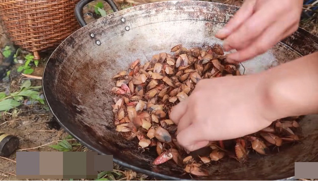 Những màn câu like kinh hãi của Youtuber Việt khi ăn tất tật từ cá sống đến gỏi côn trùng rồi cả mỡ lợn nguyên tảng - Ảnh 14.