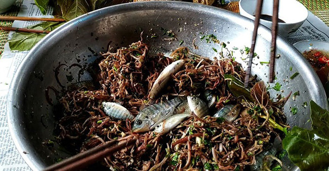 Những màn câu like kinh hãi của Youtuber Việt khi ăn tất tật từ cá sống đến gỏi côn trùng rồi cả mỡ lợn nguyên tảng - Ảnh 6.