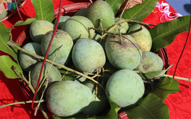 Người dân Sơn La thu nhập hàng tỷ đồng mỗi năm nhờ cây ăn quả - Ảnh 1.