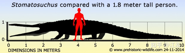 Stomatosuchus inermis: Loài cá sấu cổ đại có thể nuốt chửng cả thế giới - Ảnh 8.