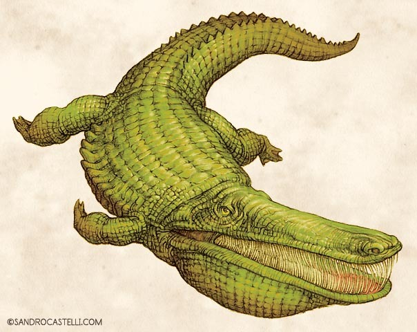Stomatosuchus inermis: Loài cá sấu cổ đại có thể nuốt chửng cả thế giới - Ảnh 9.
