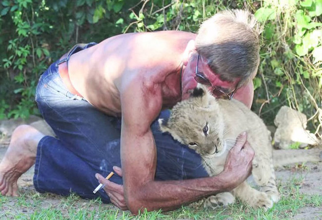 Vừa sinh ra đã bị tách khỏi cha mẹ để tránh bị ăn thịt, sư tử con đến sống với người đàn ông và bắt đầu tình bạn 11 năm kỳ lạ - Ảnh 4.