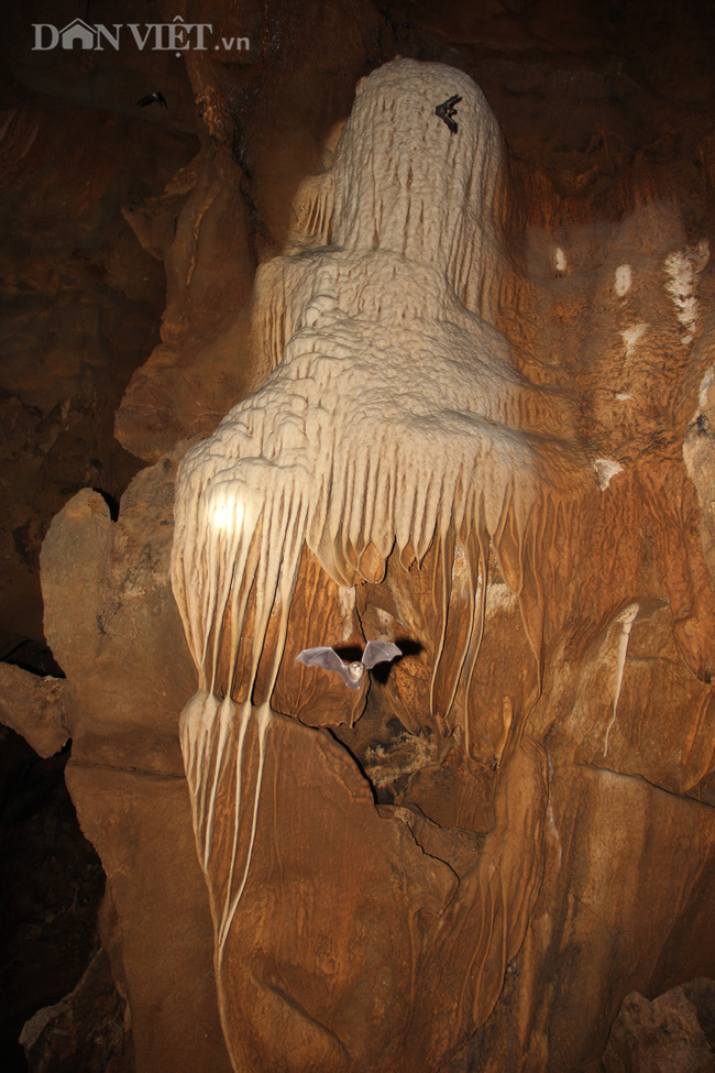 Quảng Trị: Phát hiện hang động mới, đẹp lung linh ở thôn Trỉa - Ảnh 20.