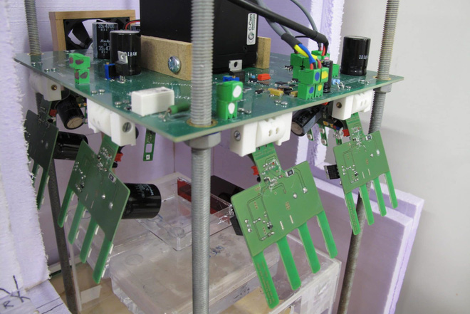 Kiến v&agrave; ong c&oacute; thể dạy ch&uacute;ng ta điều g&igrave; về c&aacute;ch ph&ograve;ng chống dịch bệnh? - Ảnh 5.