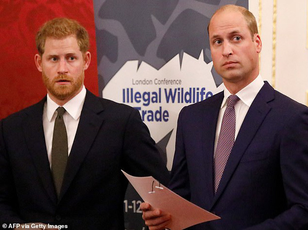 D&acirc;n t&igrave;nh tiếp tục x&ocirc;n xao khi mối quan hệ thật sự của anh em Ho&agrave;ng tử William được tiết lộ qua ch&iacute;nh lời n&oacute;i của Harry - Ảnh 1.