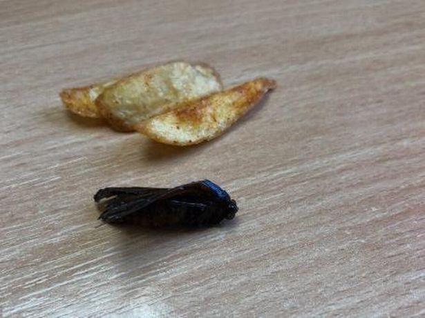 Ăn ngon lành gần hết hộp khoai tây chiên, anh chàng phát hoảng khi phát hiện vật thể lạ dưới đáy, chỉ muốn nôn hết ra số thức ăn kia - Ảnh 2. Ăn ngon lành gần hết hộp khoai tây chiên, anh chàng phát hoảng khi phát hiện vật thể lạ dưới đáy, chỉ muốn nôn hết ra số thức ăn kia - Ảnh 2.