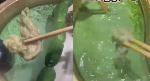 Một nhà hàng lẩu Trung Quốc đãi thực khách bằng món lẩu matcha sầu riêng, cư dân mạng bình luận: Để mị dẫn người yêu cũ đi ăn! - Ảnh 7. Một nhà hàng lẩu Trung Quốc đãi thực khách bằng món lẩu matcha sầu riêng, cư dân mạng bình luận: Để mị dẫn người yêu cũ đi ăn! - Ảnh 7.