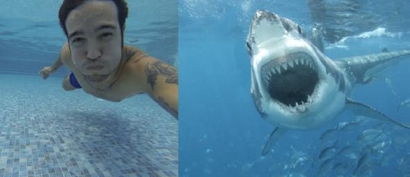Đi hưởng tuần trăng mật thì đụng độ cá mập, chàng trai tử nạn sau bức ảnh selfie cuối đời, câu chuyện đầy bi thương nhưng sự thật là gì? - Ảnh 3.