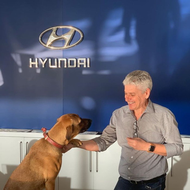 Cún hoang đẹp trai được đại lý ô tô Hyundai tuyển dụng, bao ăn ở, vừa làm 3 tháng đã thăng chức 2 lần - Ảnh 7.