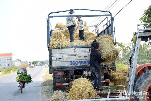 Anh nông dân huyện lúa Nghệ An bỏ 300 triệu mua máy cuộn rơm, thu bộn tiền mỗi ngày - Ảnh 2.