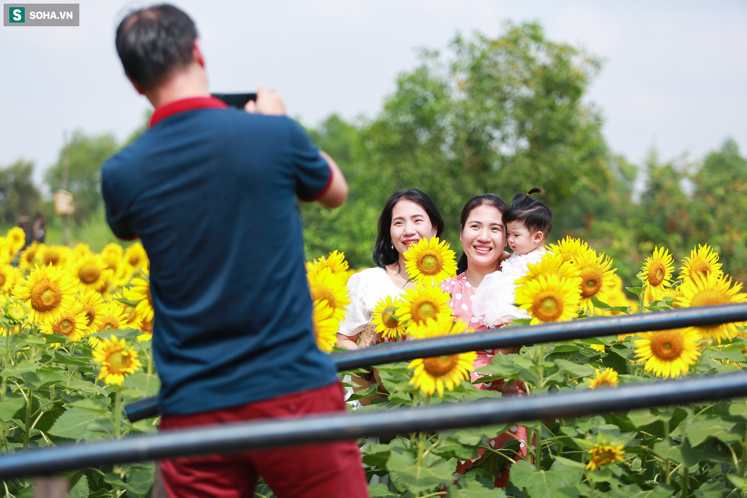 [Ảnh] Mê mẩn cánh đồng hoa hướng dương hút giới trẻ check-in dịp cuối tuần ở Sài Gòn  - Ảnh 11.