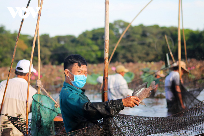 Hàng trăm người thi nhau lội bùn bắt cá trong lễ hội phá trằm  - Ảnh 5.