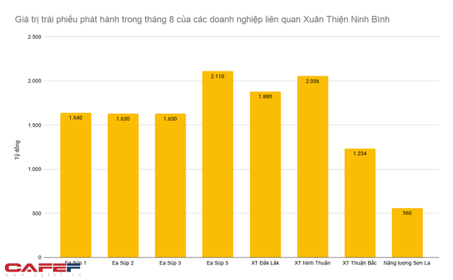 Huy động một lúc nửa tỷ USD trái phiếu cho các dự án điện mặt trời, Xuân Thiện Ninh Bình đang dần trở thành thế lực mới trong ngành? - Ảnh 1.