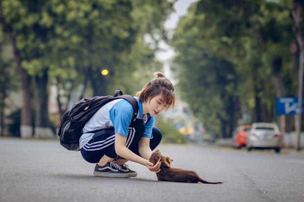 Cô bạn dễ thương bế cún cưng gây náo loạn sân trường Bách khoa hoá ra là nữ du học sinh thông thạo 4 thứ tiếng - Ảnh 5.