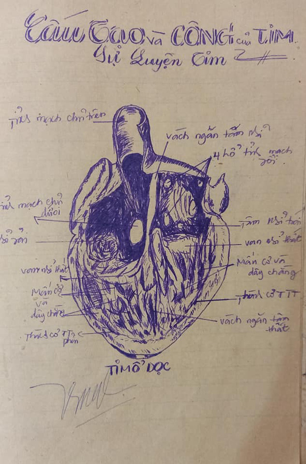 Tò mò xem mẹ học môn Sinh thời xưa thế nào, nữ sinh trầm trồ vì quyển vở toàn tranh vẽ tay mà giống sách giáo khoa từng chi tiết - Ảnh 2.